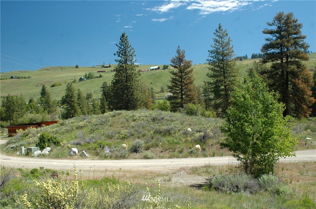 42 North Landing Road Winthrop, WA 98862 - Photo 12 of 25 Gallery Image 12