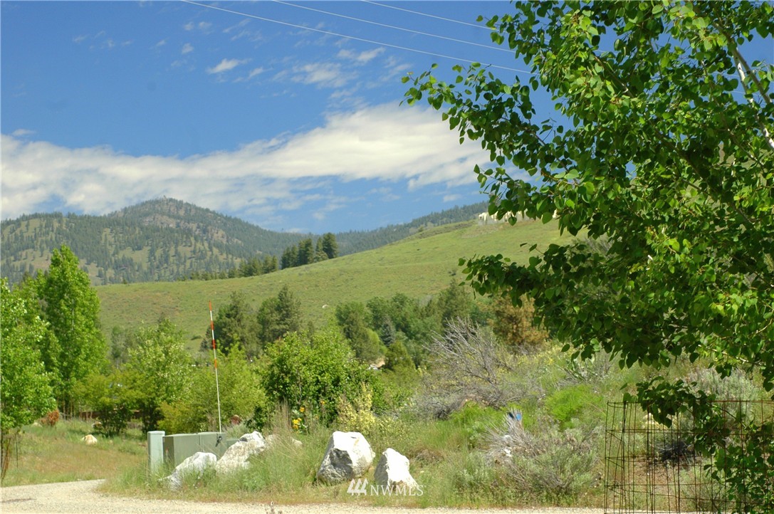 42 North Landing Road Winthrop, WA 98862 - Photo 15 of 25 Gallery Image 15