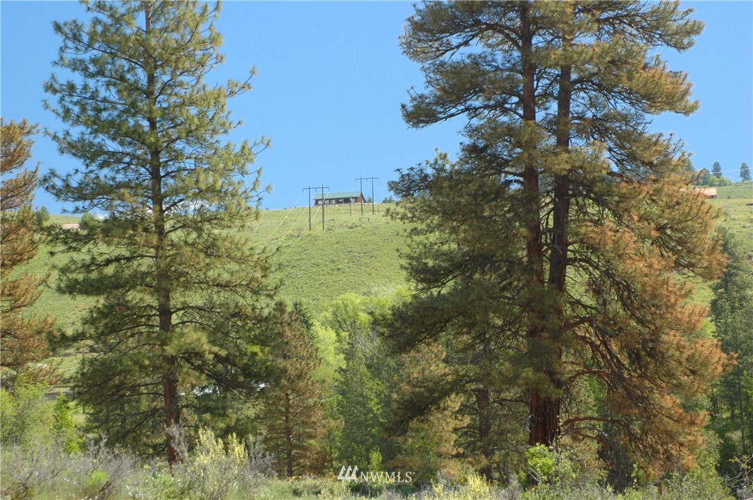 42 North Landing Road Winthrop, WA 98862 - Photo 16 of 25 Gallery Image 16