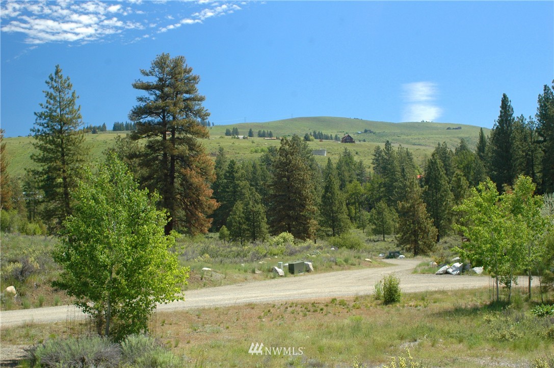 42 North Landing Road Winthrop, WA 98862 - Photo 20 of 25 Gallery Image 20