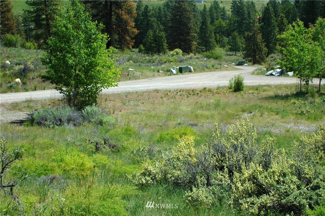 42 North Landing Road Winthrop, WA 98862 - Photo 23 of 25 Gallery Image 23