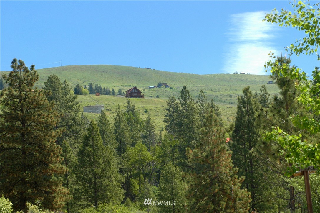42 North Landing Road Winthrop, WA 98862 - Photo 5 of 25 Gallery Image 5