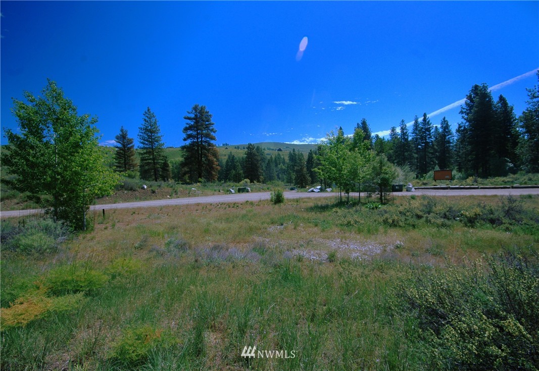 42 North Landing Road Winthrop, WA 98862 - Photo 6 of 25 Gallery Image 6