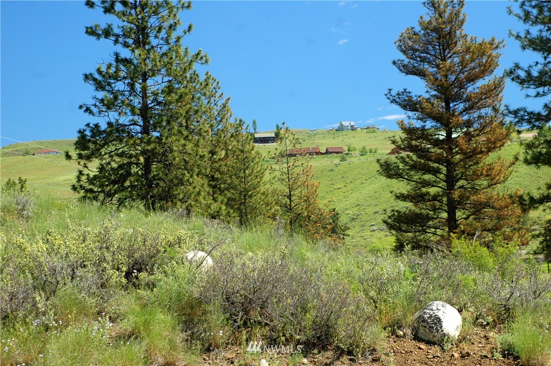 42 North Landing Road Winthrop, WA 98862 - Photo 7 of 25 Gallery Image 7