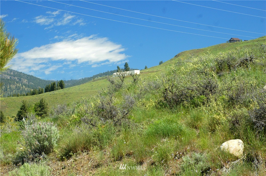 42 North Landing Road Winthrop, WA 98862 - Photo 8 of 25 Gallery Image 8