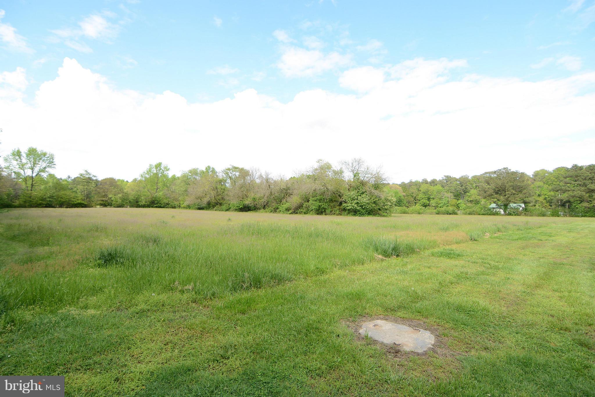 5268 Preston Road Federalsburg, MD 21632 - Photo 26 of 30 Exterior (Rear)