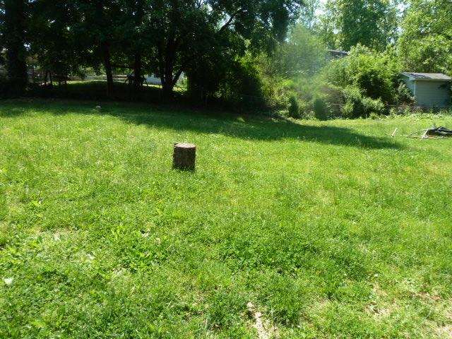310 Oak Road Powell, TN 37849 - Photo 4 of 20 P1390200