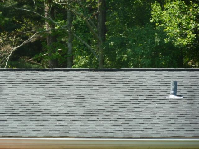 310 Oak Road Powell, TN 37849 - Photo 7 of 20 P1390196