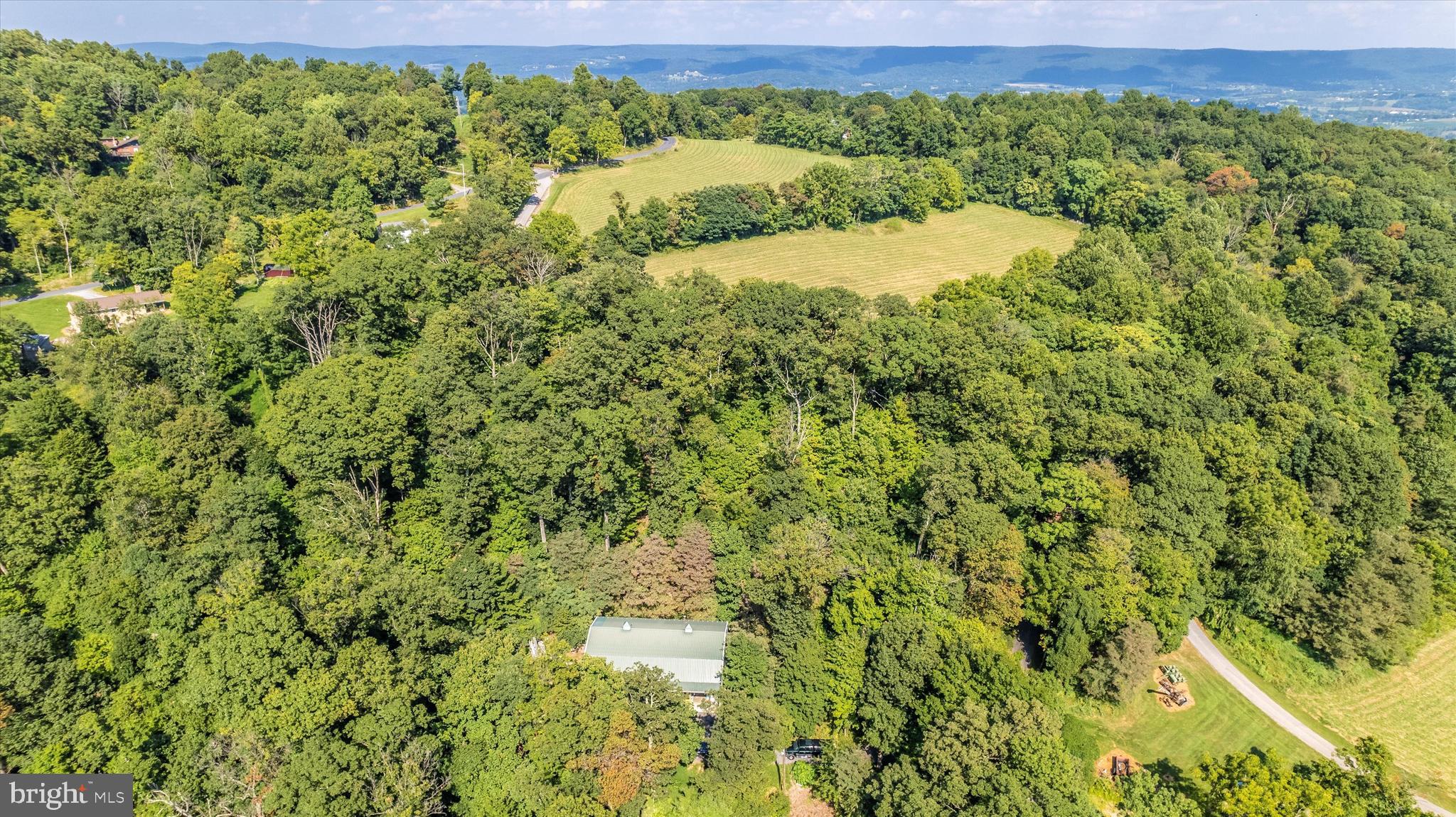 1709 Dahlgren Road Middletown, MD 21769 - Photo 9 of 113