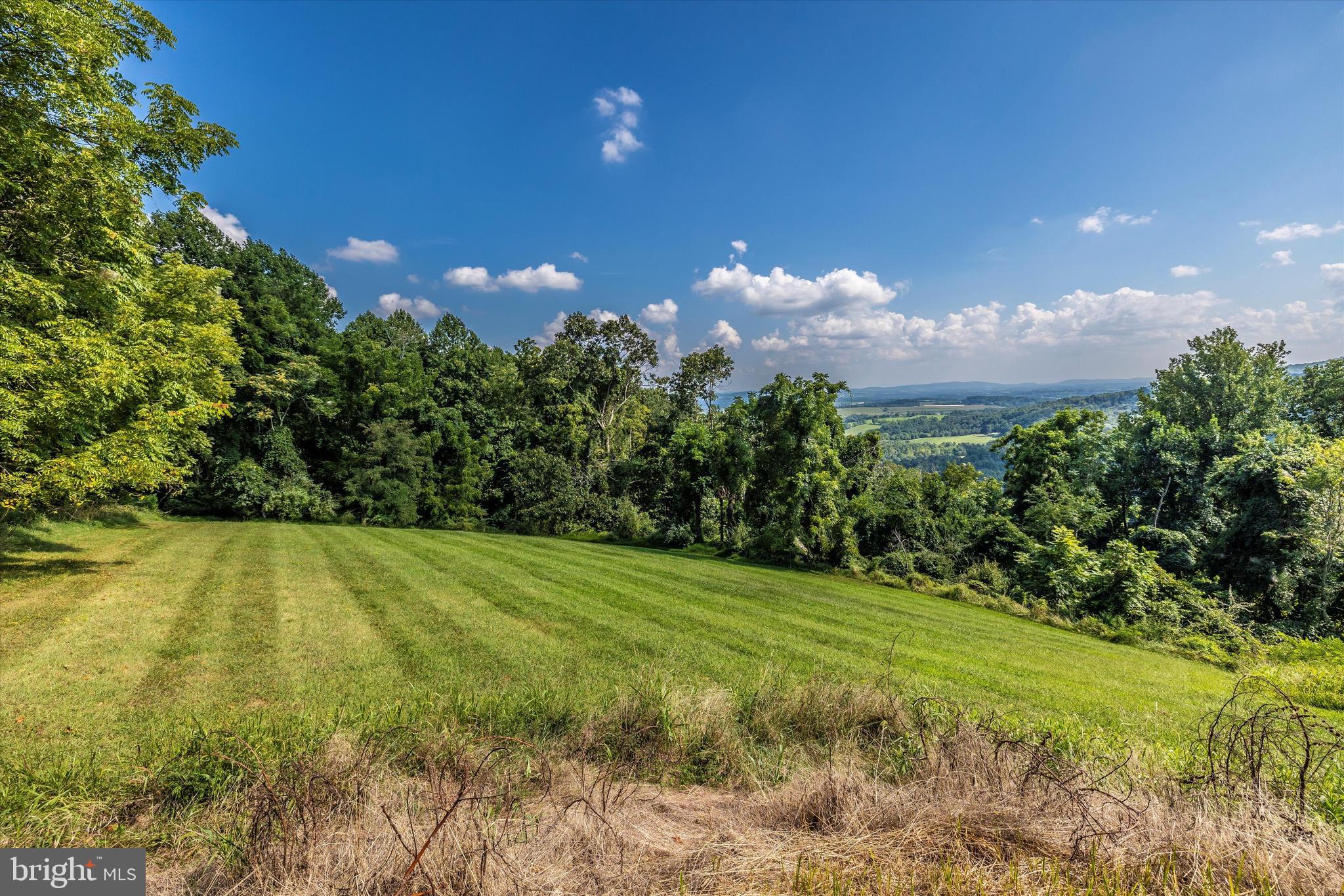 1709 Dahlgren Road Middletown, MD 21769 - Photo 94 of 113