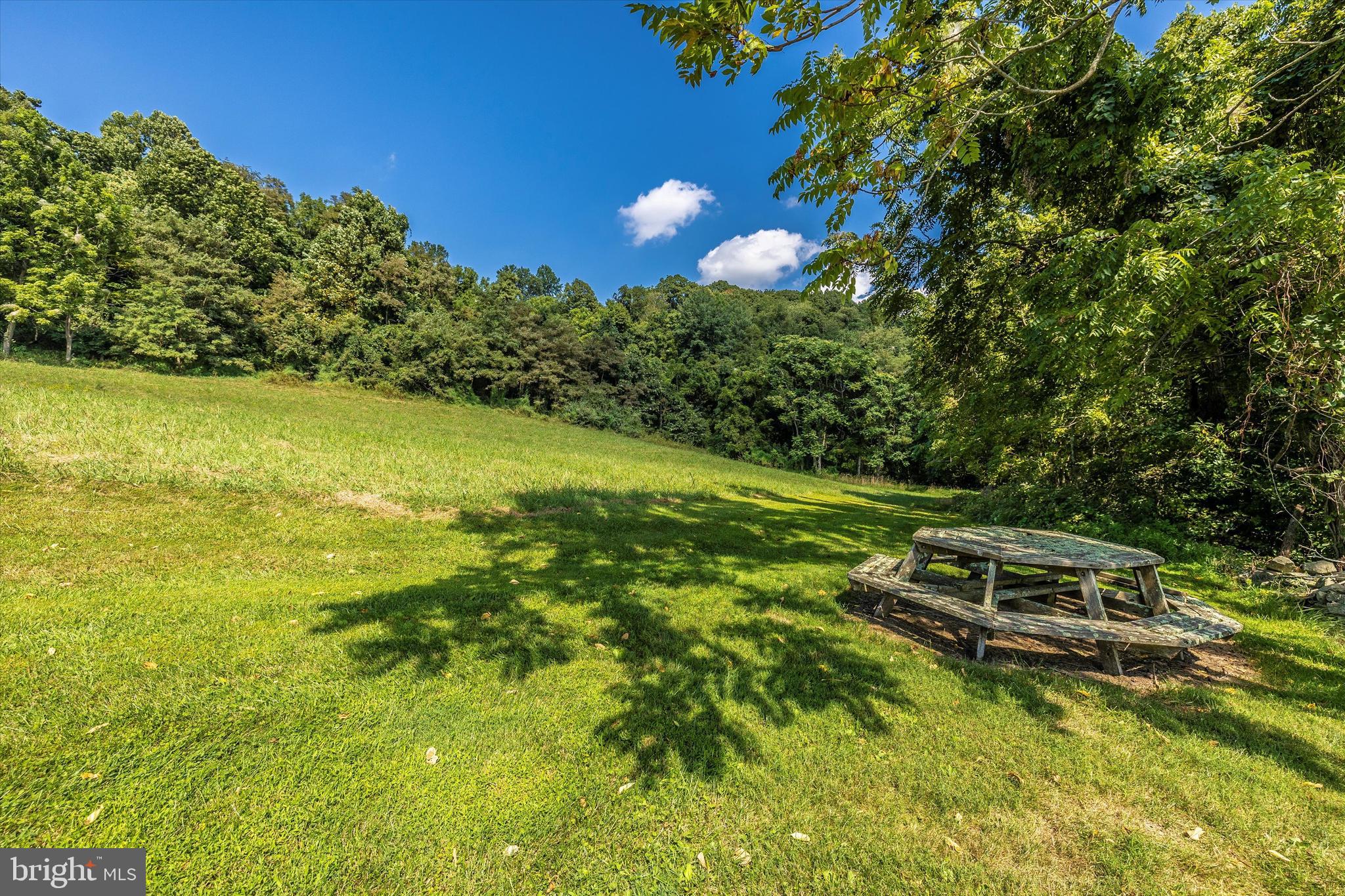 1709 Dahlgren Road Middletown, MD 21769 - Photo 95 of 113