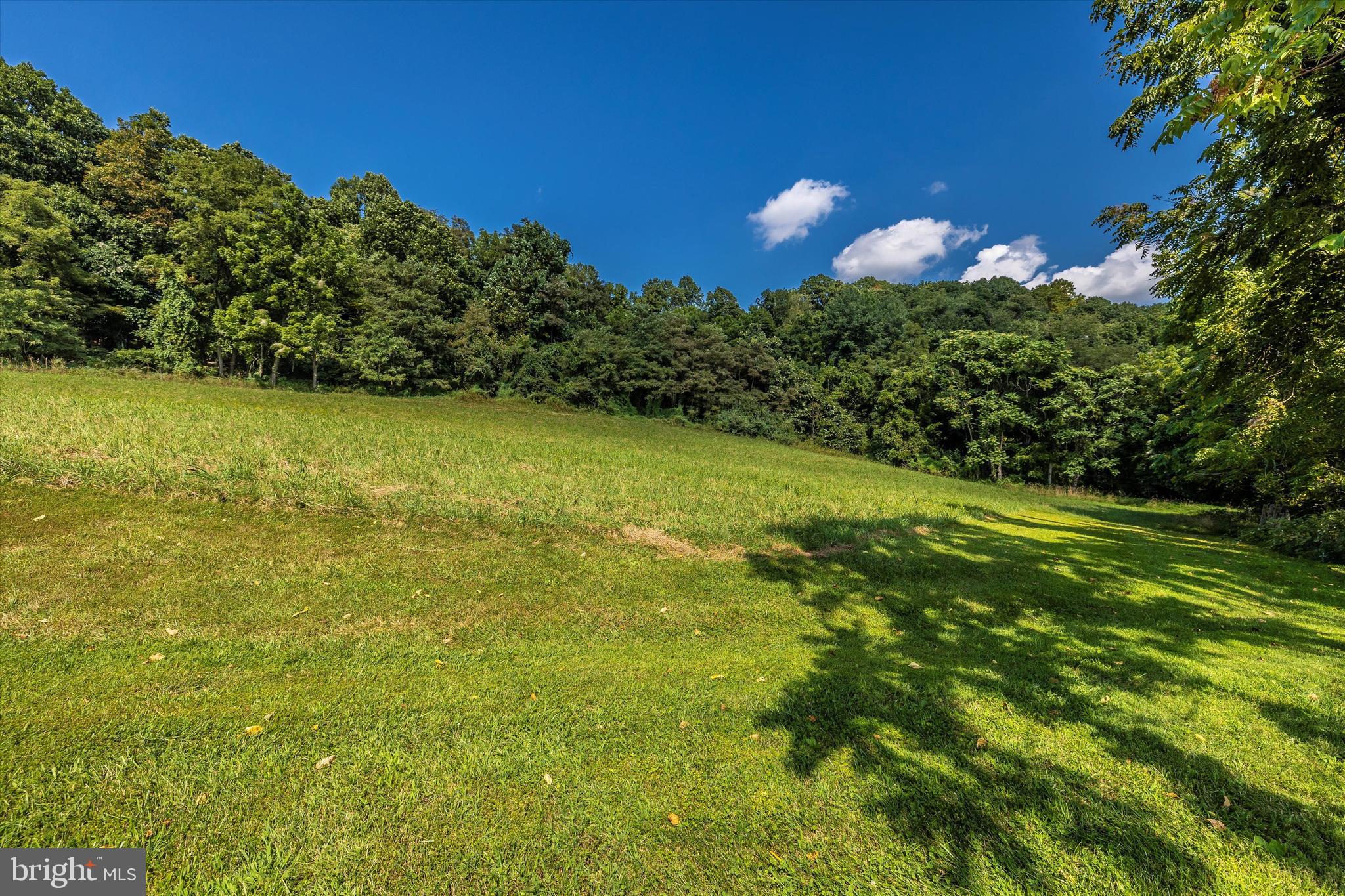 1709 Dahlgren Road Middletown, MD 21769 - Photo 96 of 113