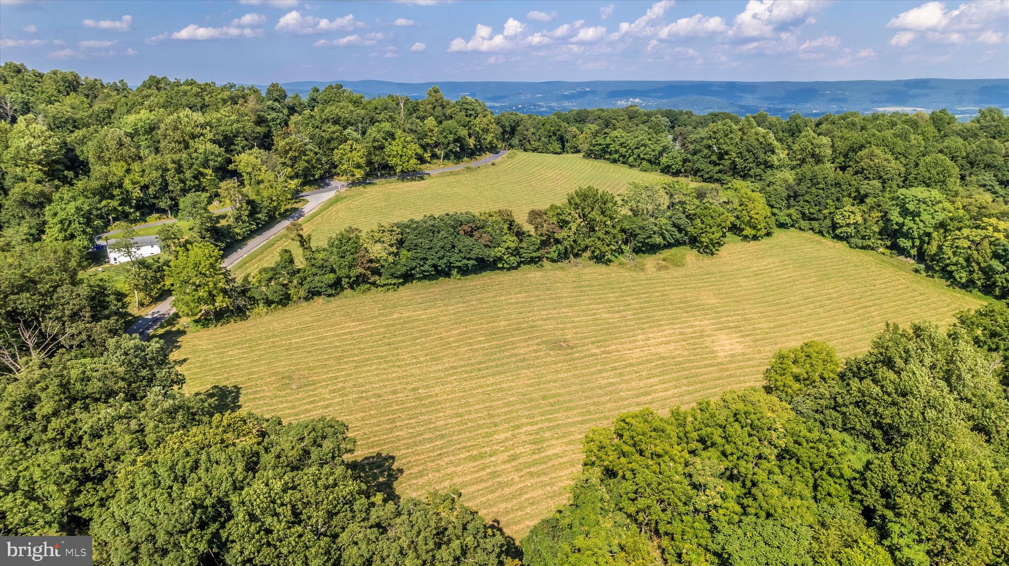 1709 Dahlgren Road Middletown, MD 21769 - Photo 10 of 113