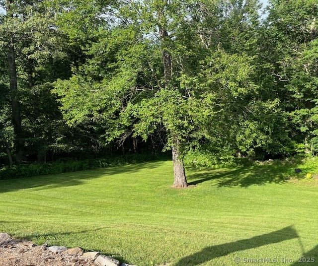 47 Merwin Brook Road Brookfield, CT 06804 - Photo 28 of 29 a view of a trees with a yard
