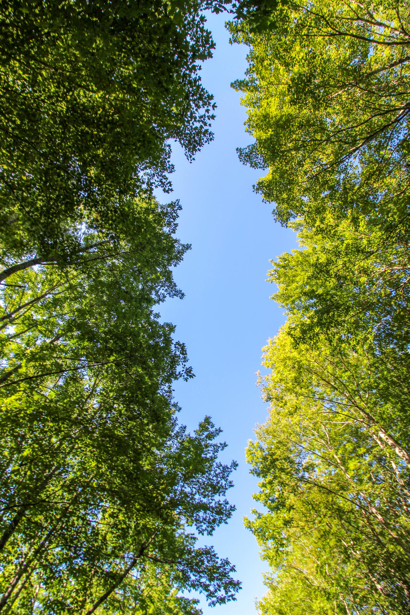 Lot 24 Green Valley Road Stockton Springs, ME 04981 - Photo 15 of 31 Along the Road