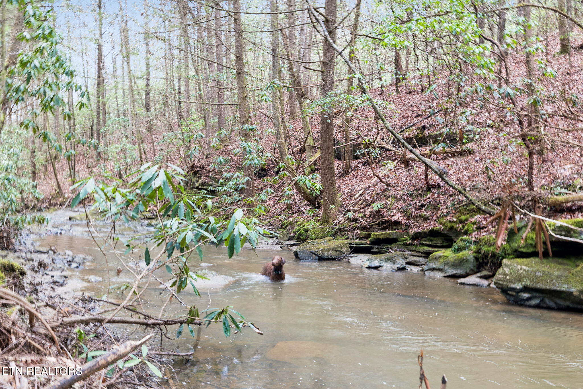 Sheep Ranch Road, Unit 24 Robbins, TN 37852 - Photo 11 of 33 19-1 Sheep Ranch Rd - 019