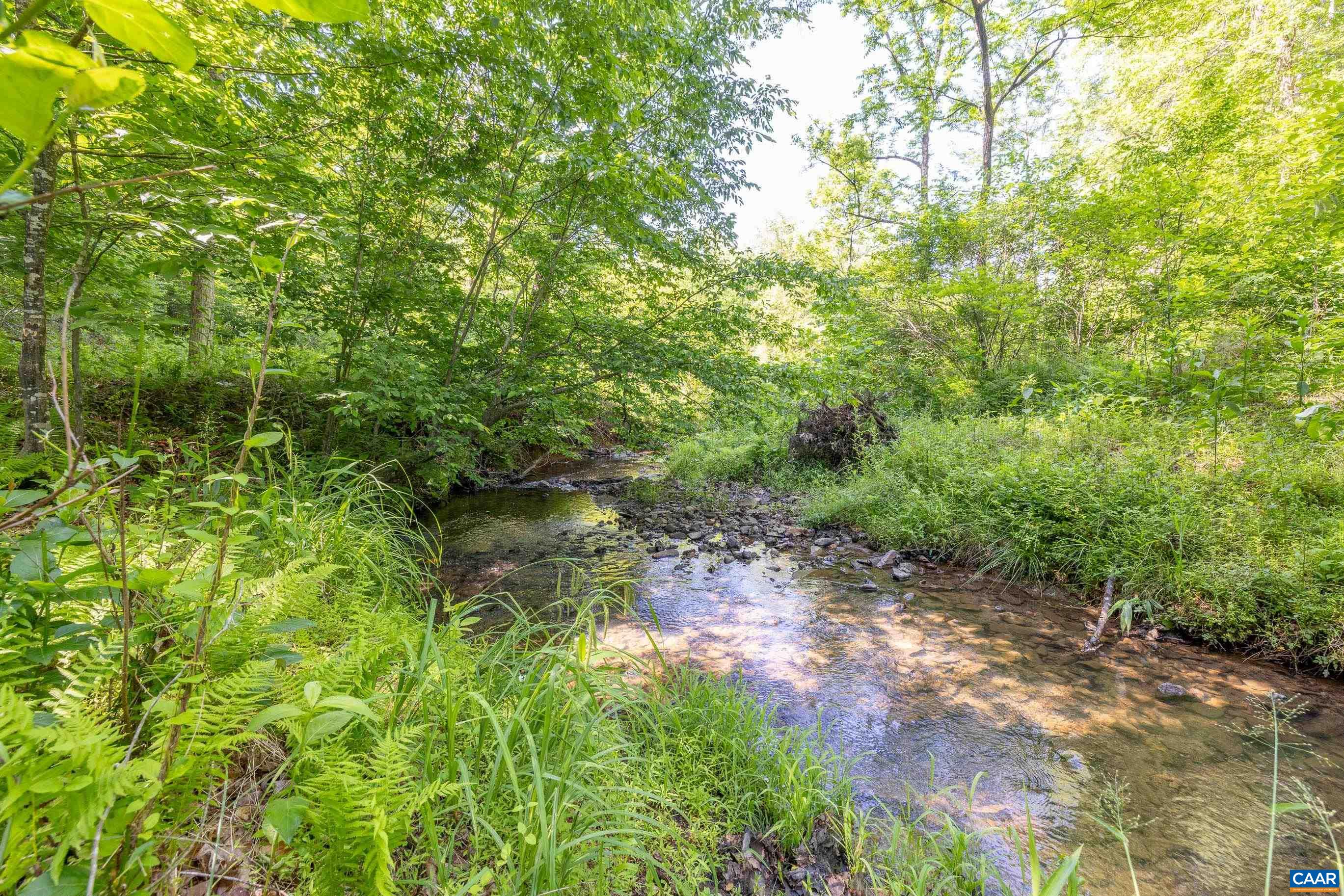 7676 Old Dominion Road Schuyler, VA 22969 - Photo 10 of 29 a view of a garden with a tree