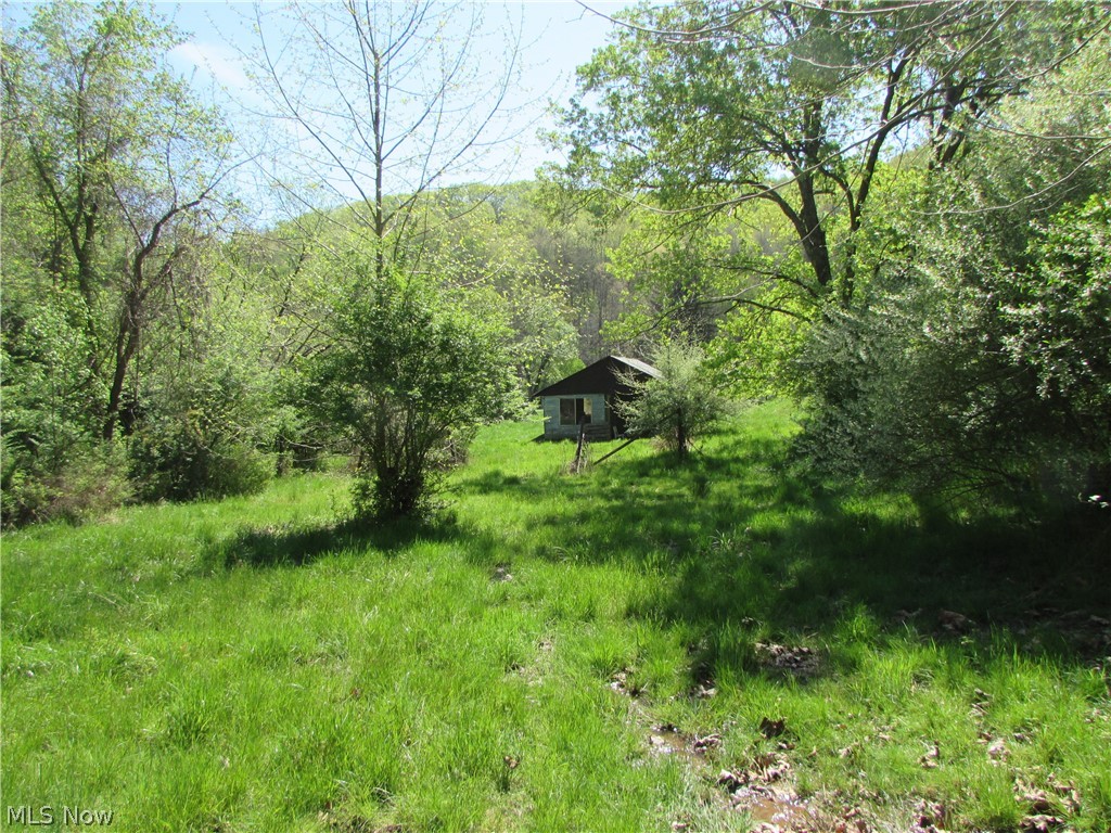 Mayberry Road Palestine, WV 26160 - Photo 2 of 20
