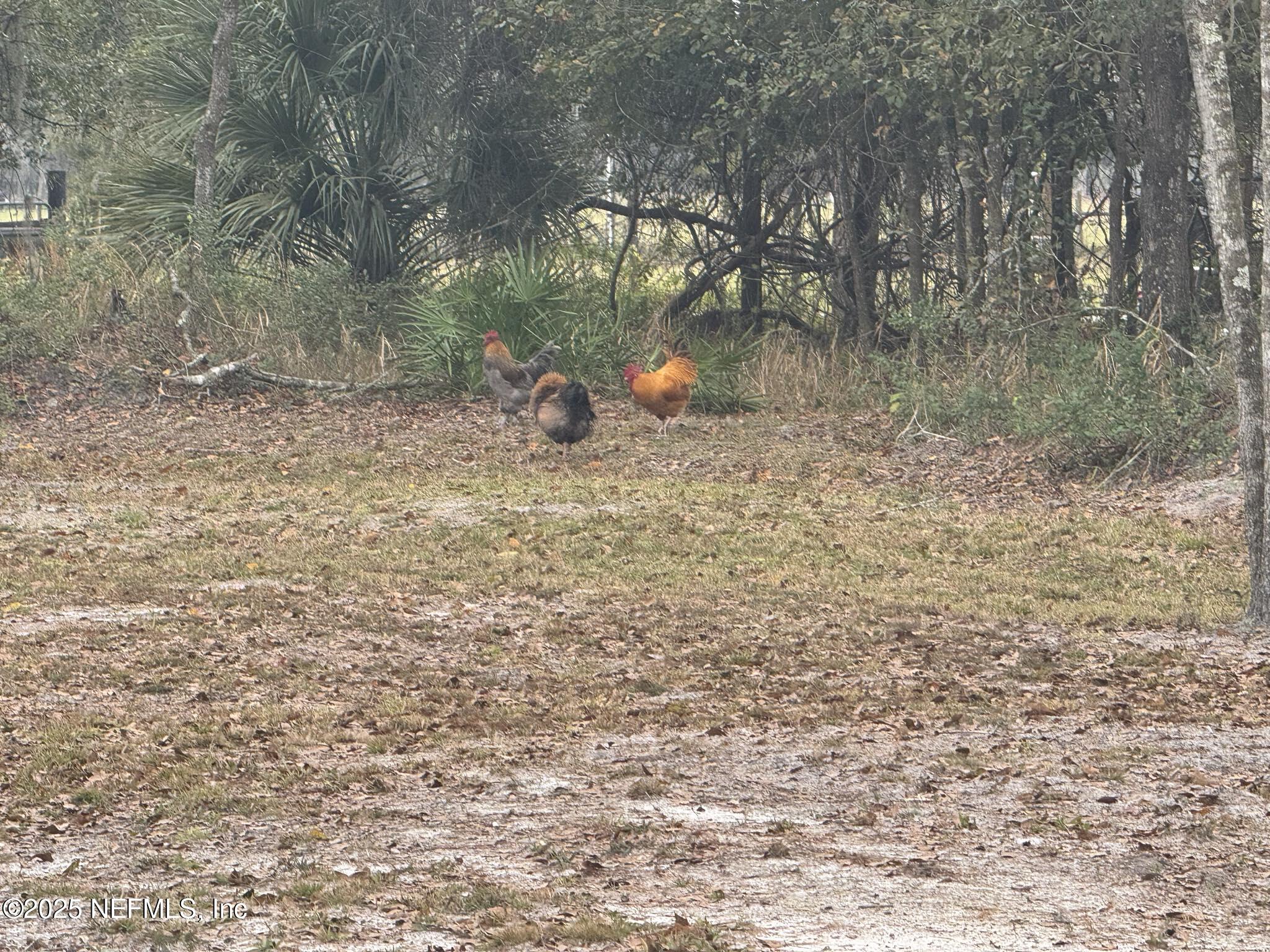 284 East Bannerville Road Palatka, FL 32177 - Photo 44 of 44 374c8c26-f0c7-4bcf-96c0-99b8beff31c0