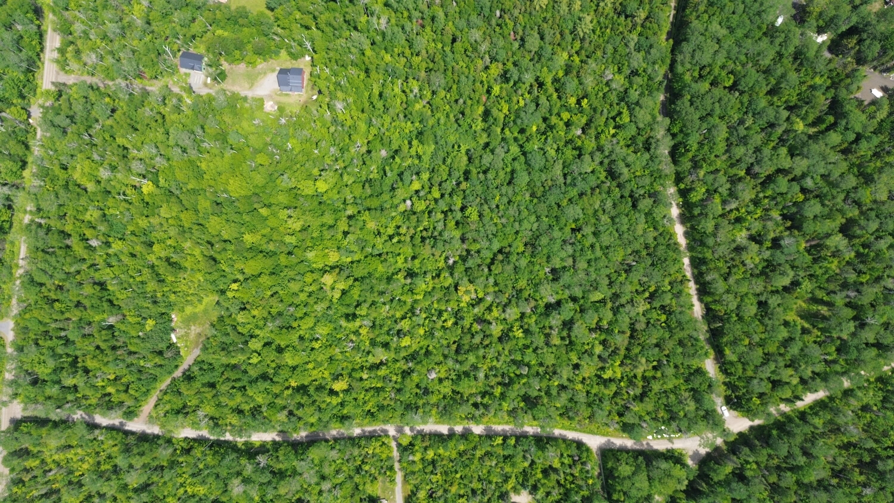 Lot 9 Moose Road Oquossoc, ME 04964 - Photo 4 of 5 From side
