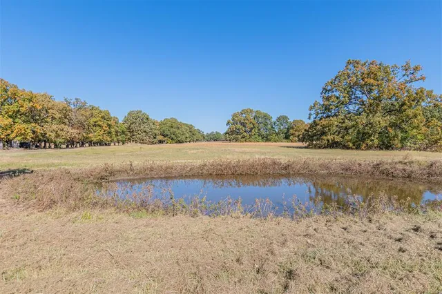 a view of a dry yard with a mountain
