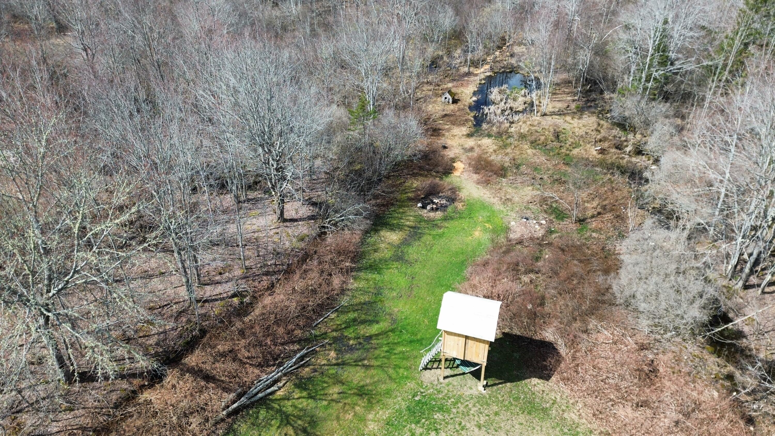 1008 Cape Jellison Road Stockton Springs, ME 04981 - Photo 14 of 50 17