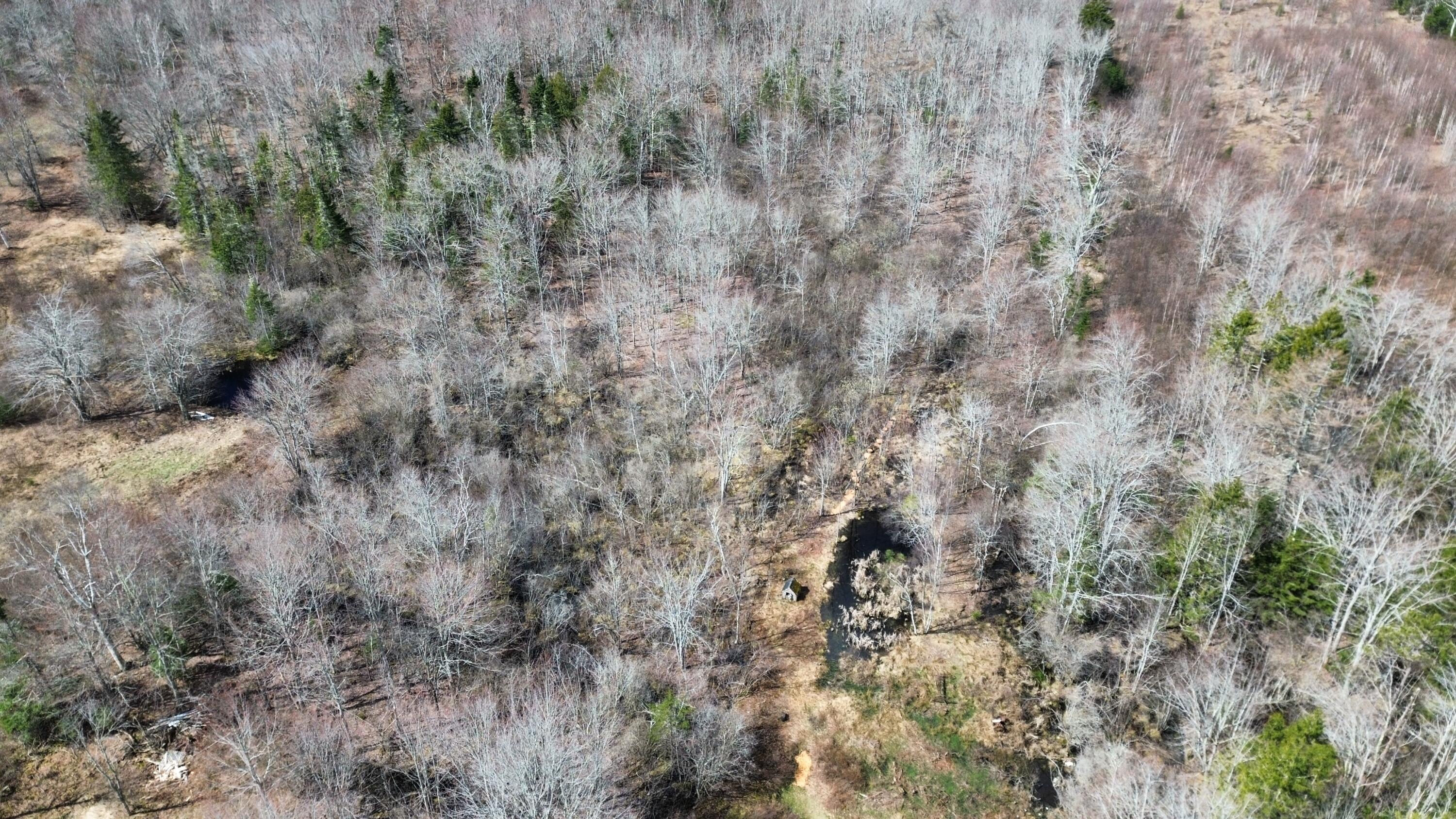 1008 Cape Jellison Road Stockton Springs, ME 04981 - Photo 15 of 50 18