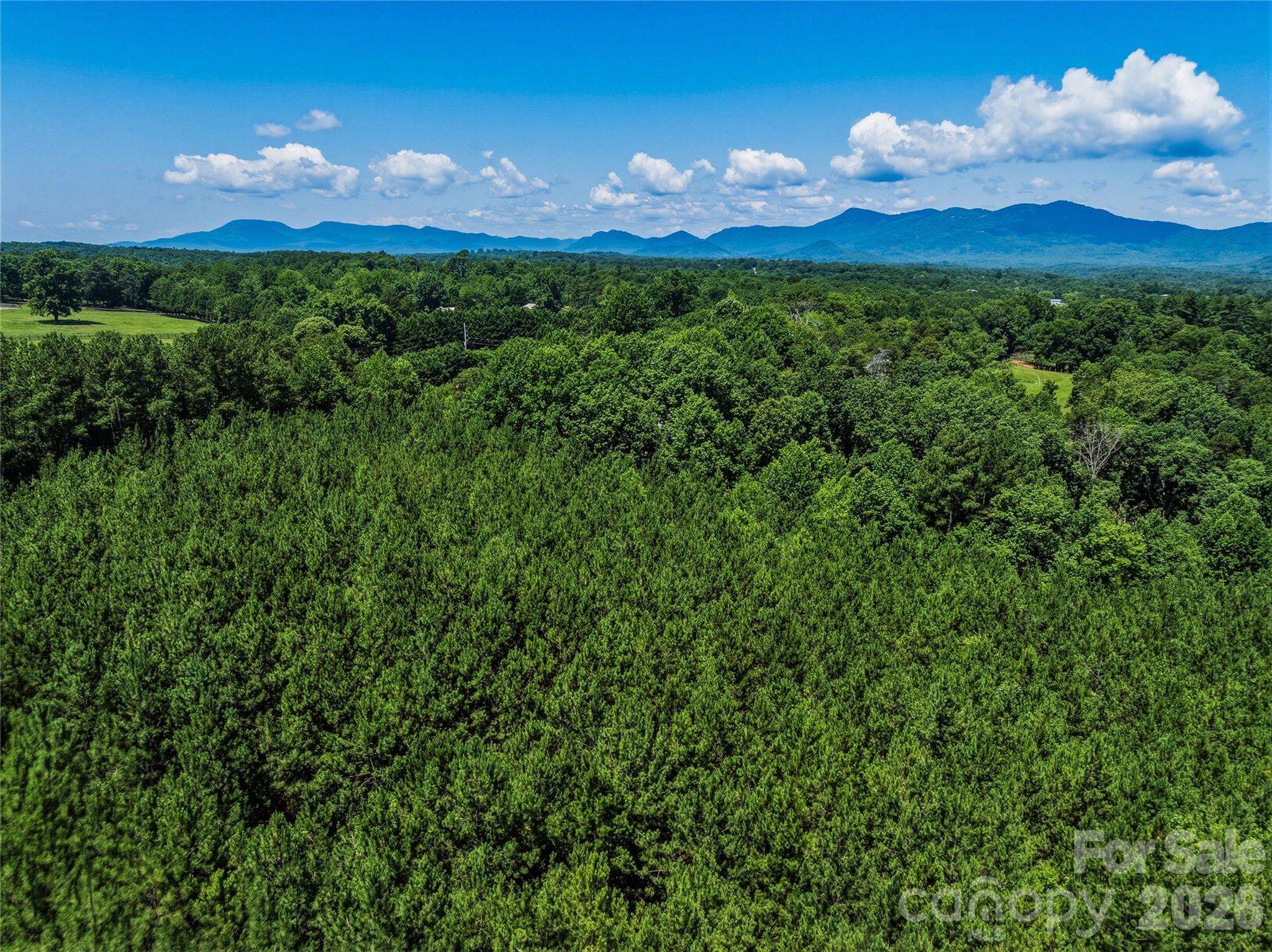 6783 Peniel Road Tryon, NC 28782 - Photo 30 of 36
