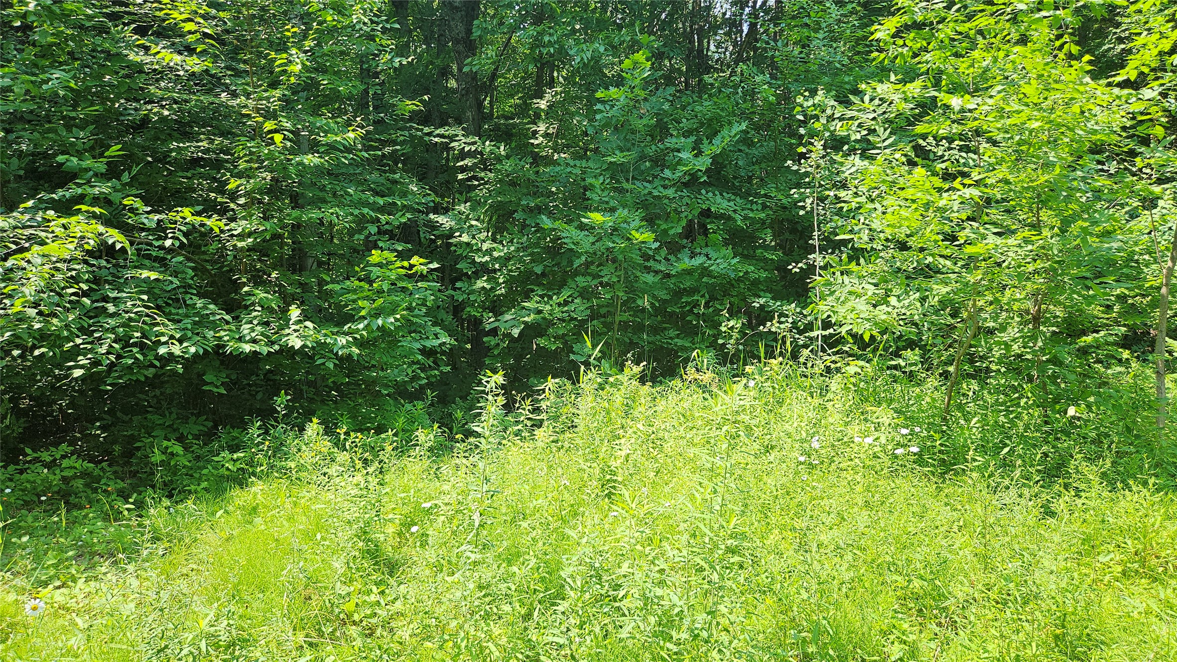 4687 Valesh Road Couderay, WI 54828 - Photo 10 of 12