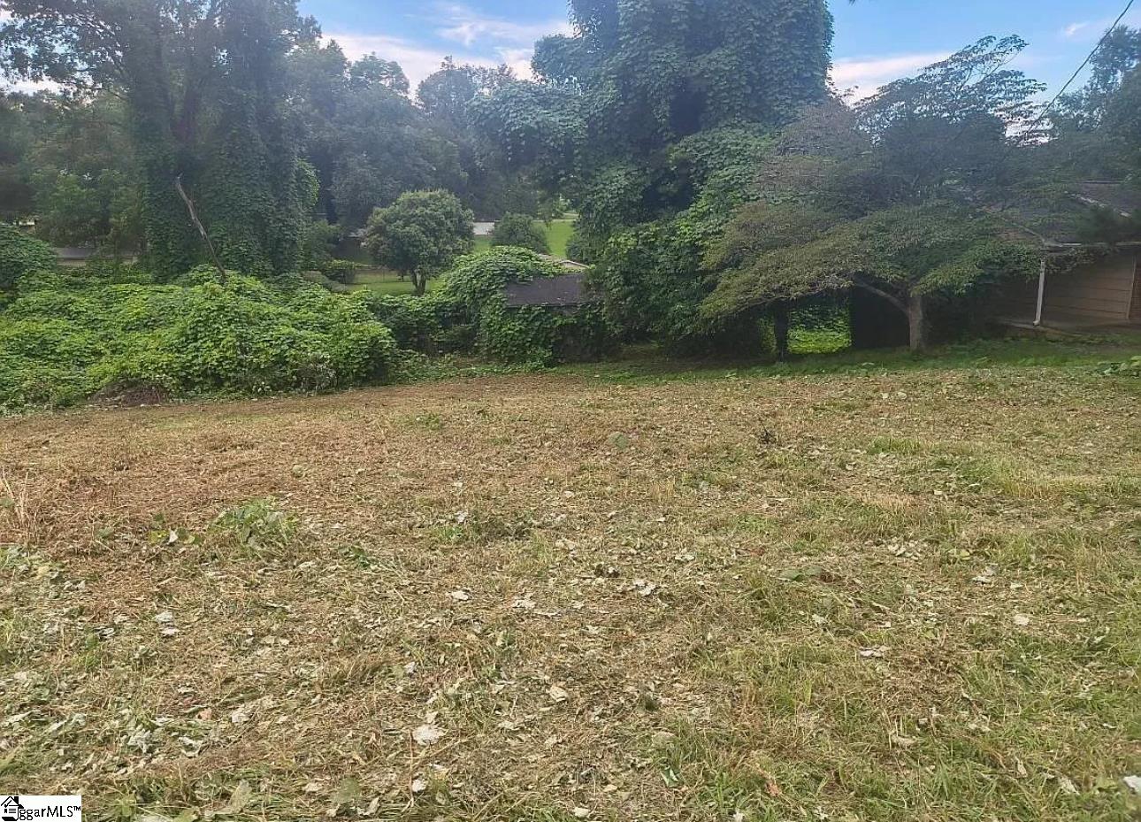 0 Serene Drive Gaffney, SC 29340 - Photo 5 of 8