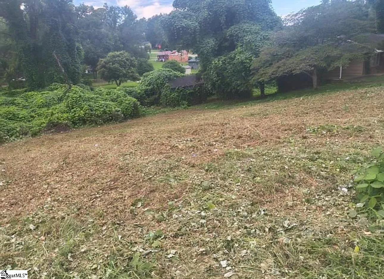 0 Serene Drive Gaffney, SC 29340 - Photo 6 of 8