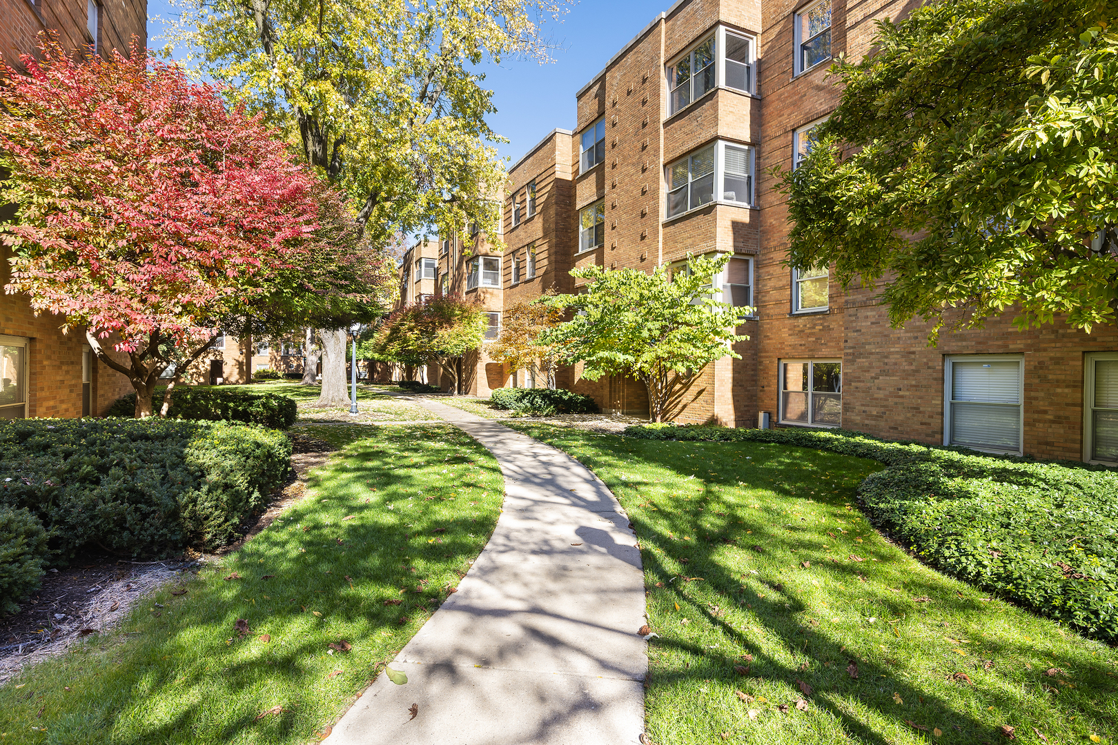 4929 North Wolcott Avenue, Unit 1A Chicago, IL 60640 - Photo 14 of 15 a view of a building with a yard