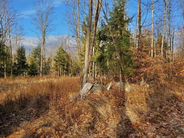 Lot 10 Needham Road Norway, ME 04268 - Photo 5 of 5 20210207235004410289000000-o