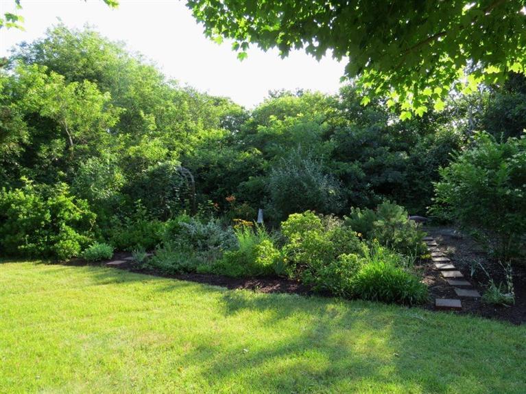 3 Arrowhead Farm Road Truro, MA 02666 - Photo 23 of 35 a view of a yard with a tree