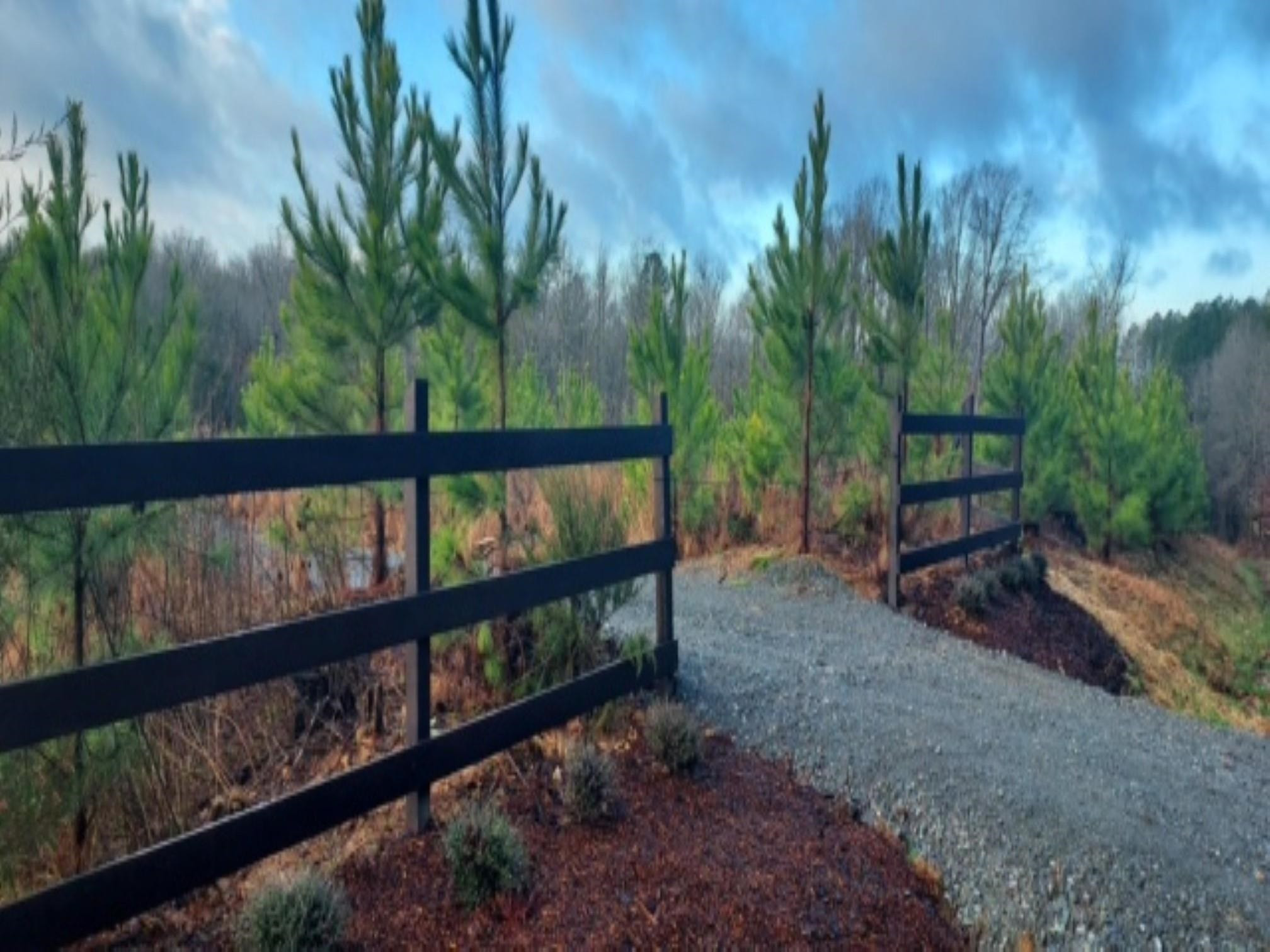 1277 Alton King Road Goldston, NC 27252 - Photo 7 of 16 Photo 7