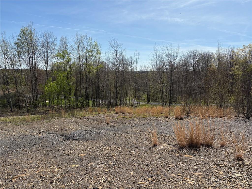 1043 Earth Road St. Marys, PA 15857 - Photo 2 of 5 a view of a forest with trees in the background