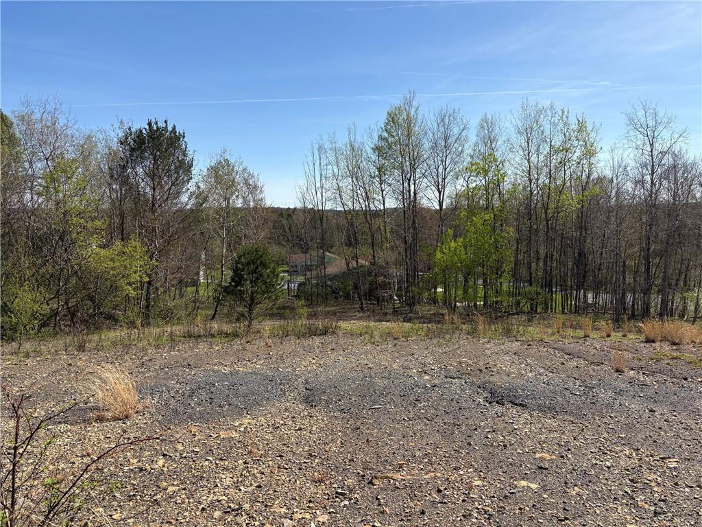 1043 Earth Road St. Marys, PA 15857 - Photo 3 of 5 a view of a forest with trees in the background