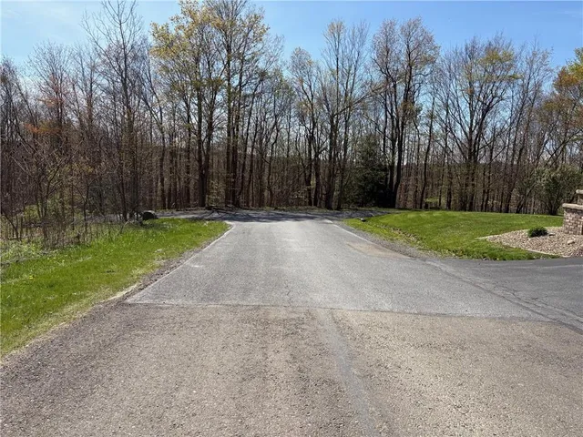 a view of a park with large trees