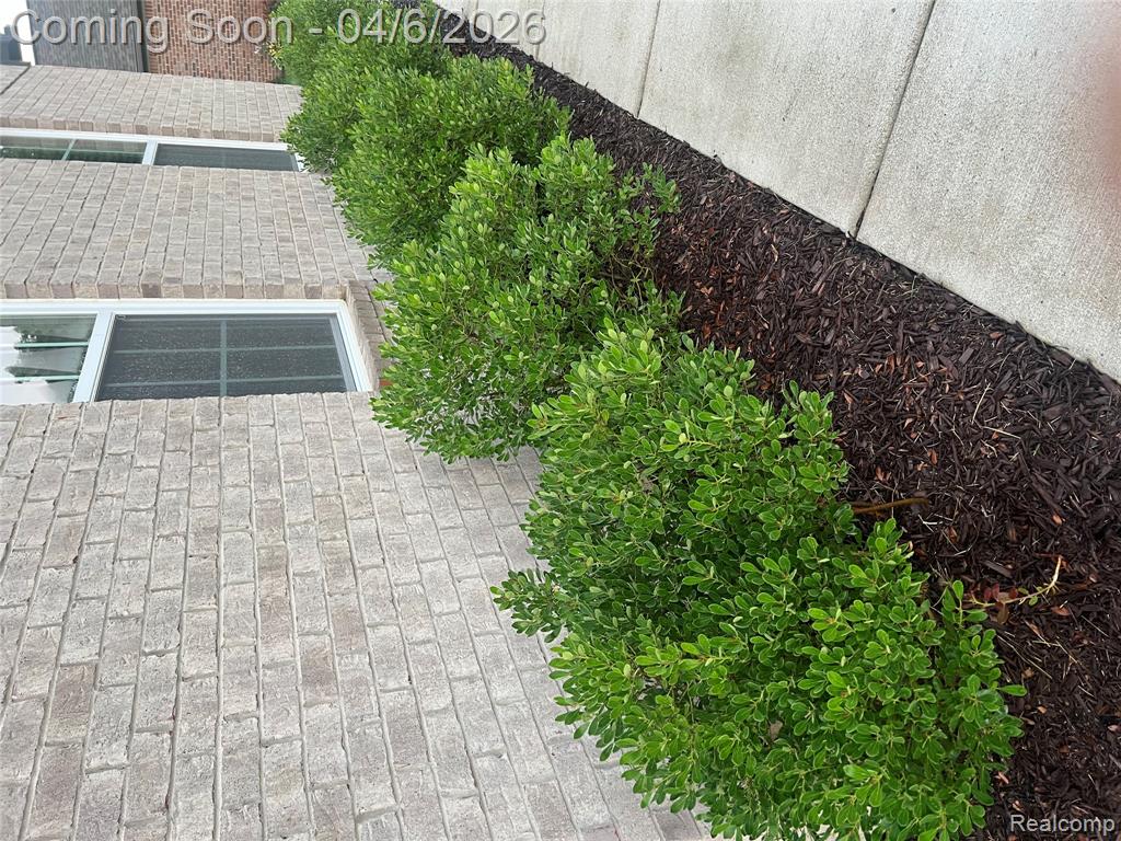 42991 Colonial Road Belleville, MI 48111 - Photo 64 of 64 Gallery Image 64
