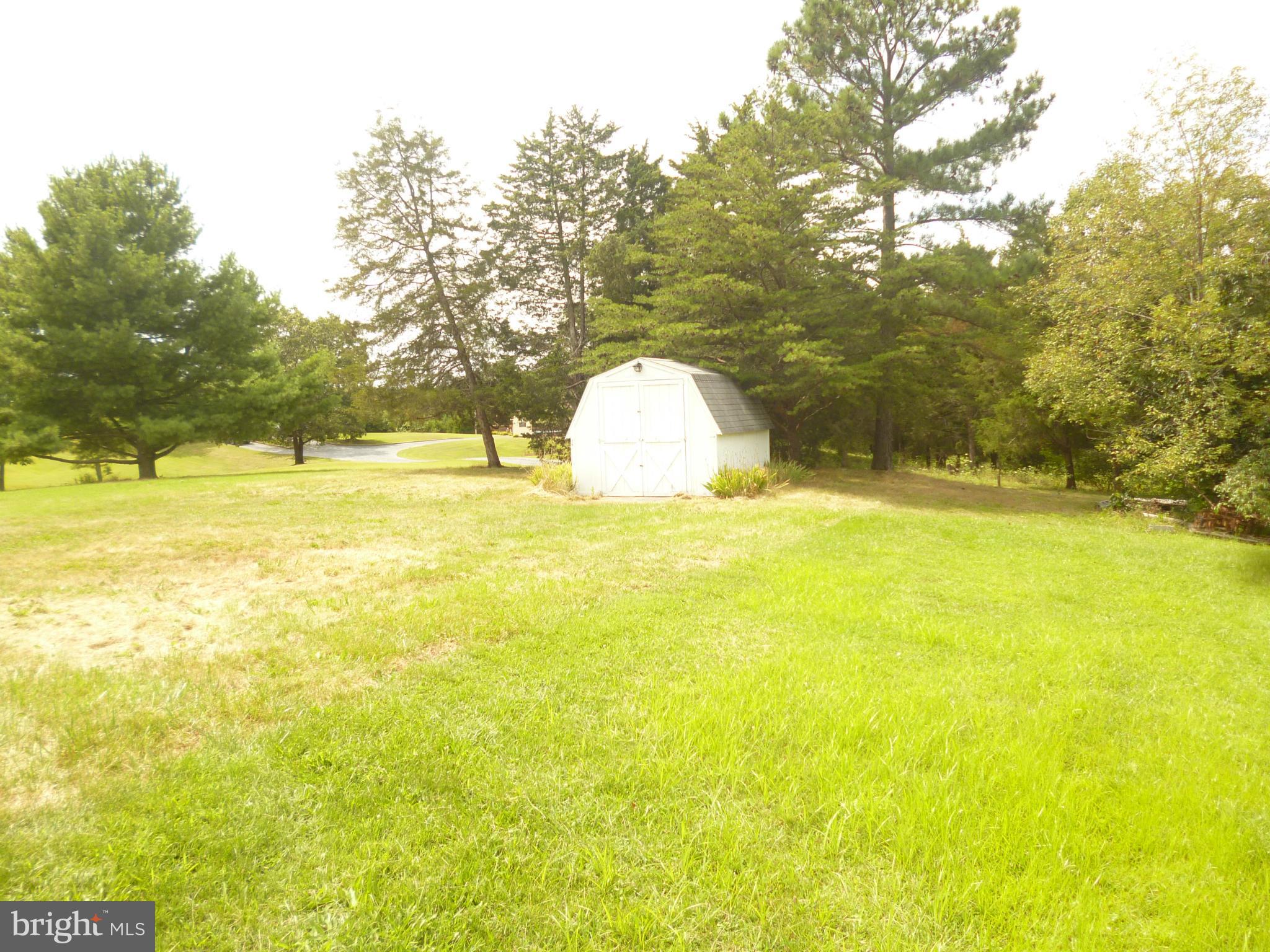 256 Ritter Road White Post, VA 22663 - Photo 4 of 18 shed