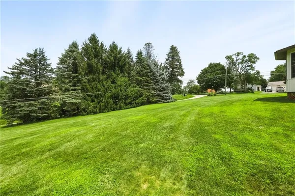a view of a big yard with plants and large trees
