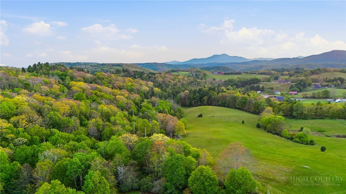 Sampson Road Boone, NC 28607 - Photo 12 of 13