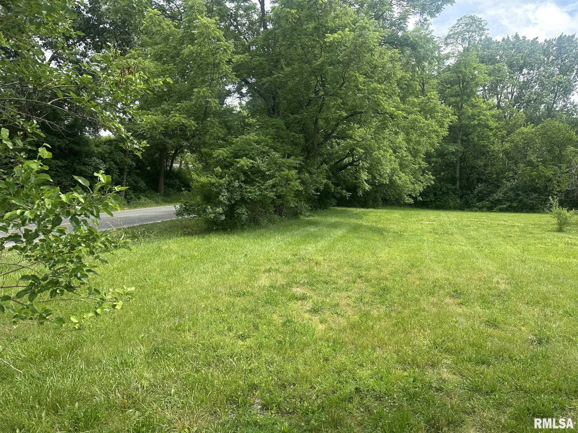 2035 Ladue Road Woodson, IL 62695 - Photo 6 of 7