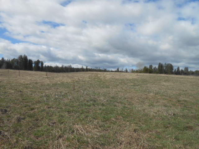 6400 West Burroughs Road Deer Park, WA 99006 - Photo 2 of 18
