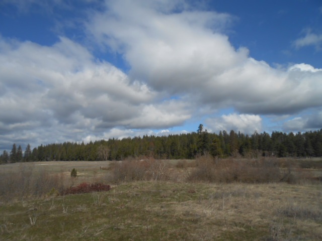 6400 West Burroughs Road Deer Park, WA 99006 - Photo 18 of 18