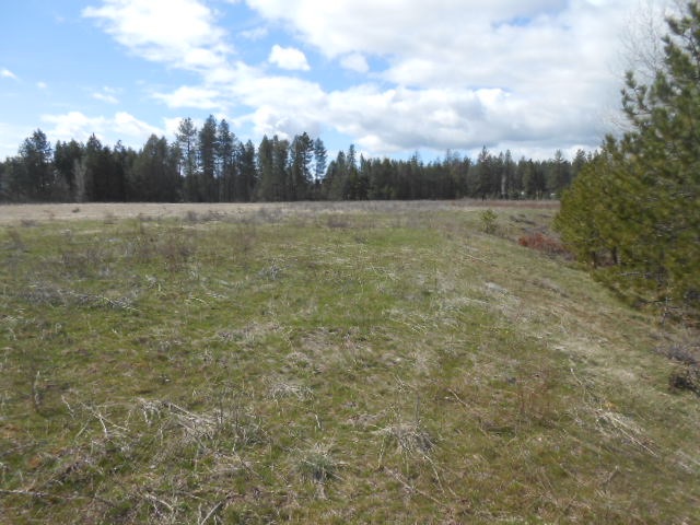 6400 West Burroughs Road Deer Park, WA 99006 - Photo 4 of 18