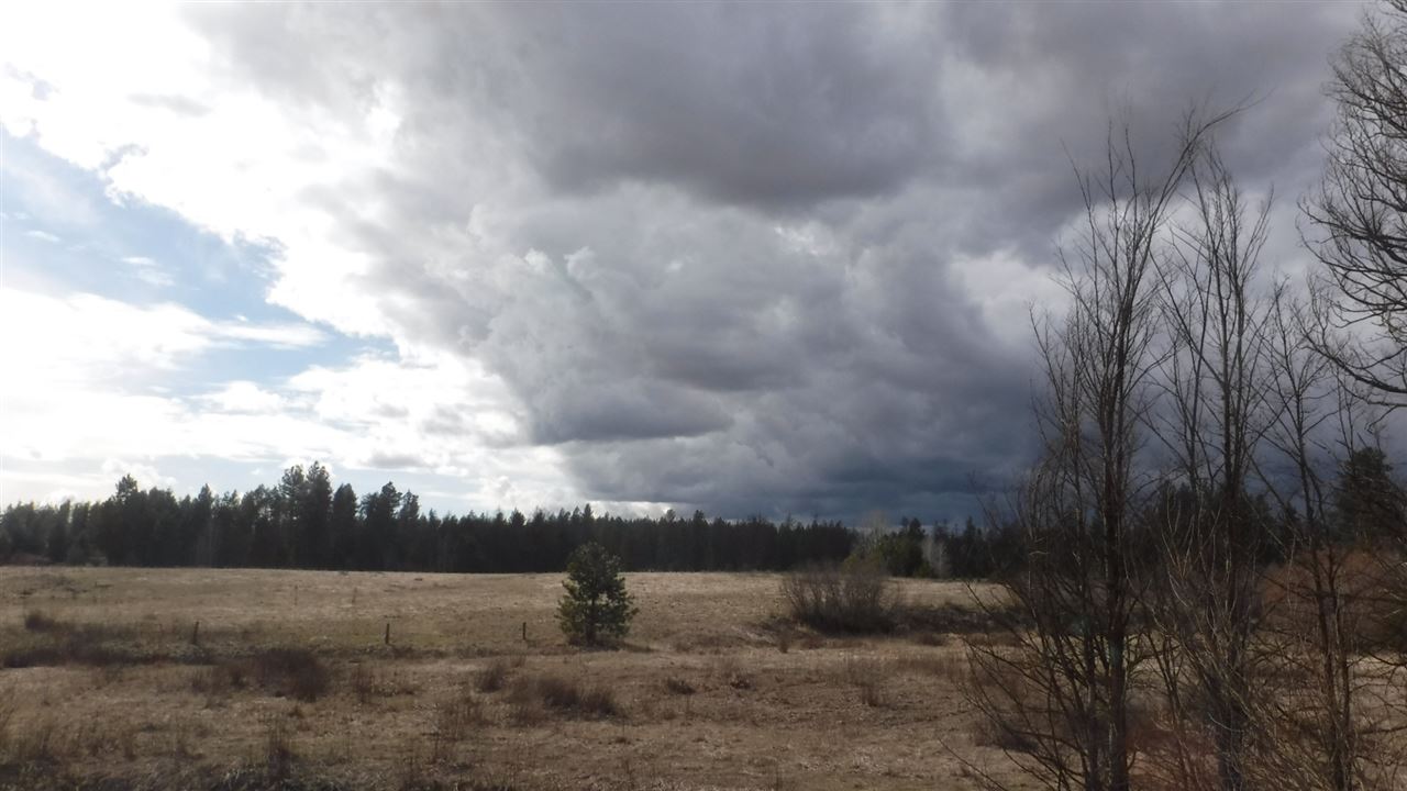 6400 West Burroughs Road Deer Park, WA 99006 - Photo 6 of 18