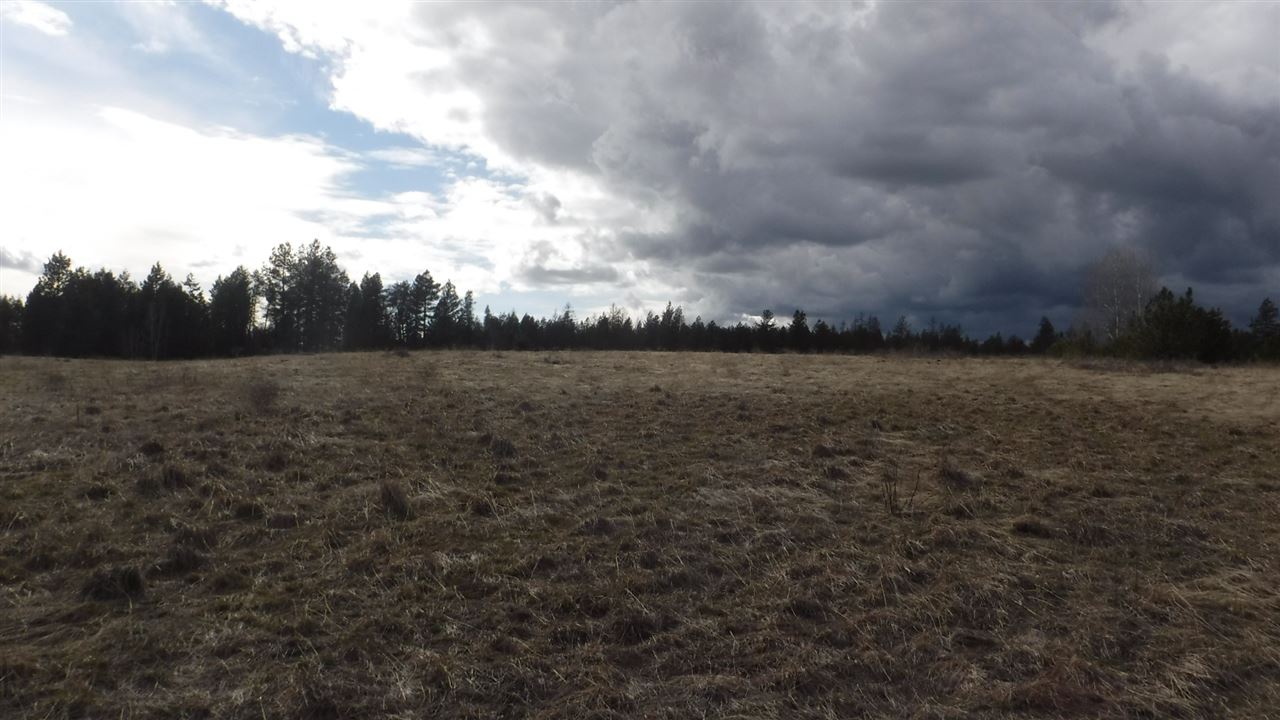 6400 West Burroughs Road Deer Park, WA 99006 - Photo 7 of 18