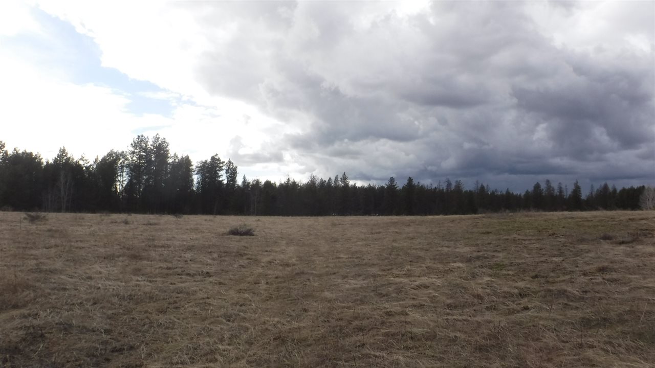 6400 West Burroughs Road Deer Park, WA 99006 - Photo 8 of 18