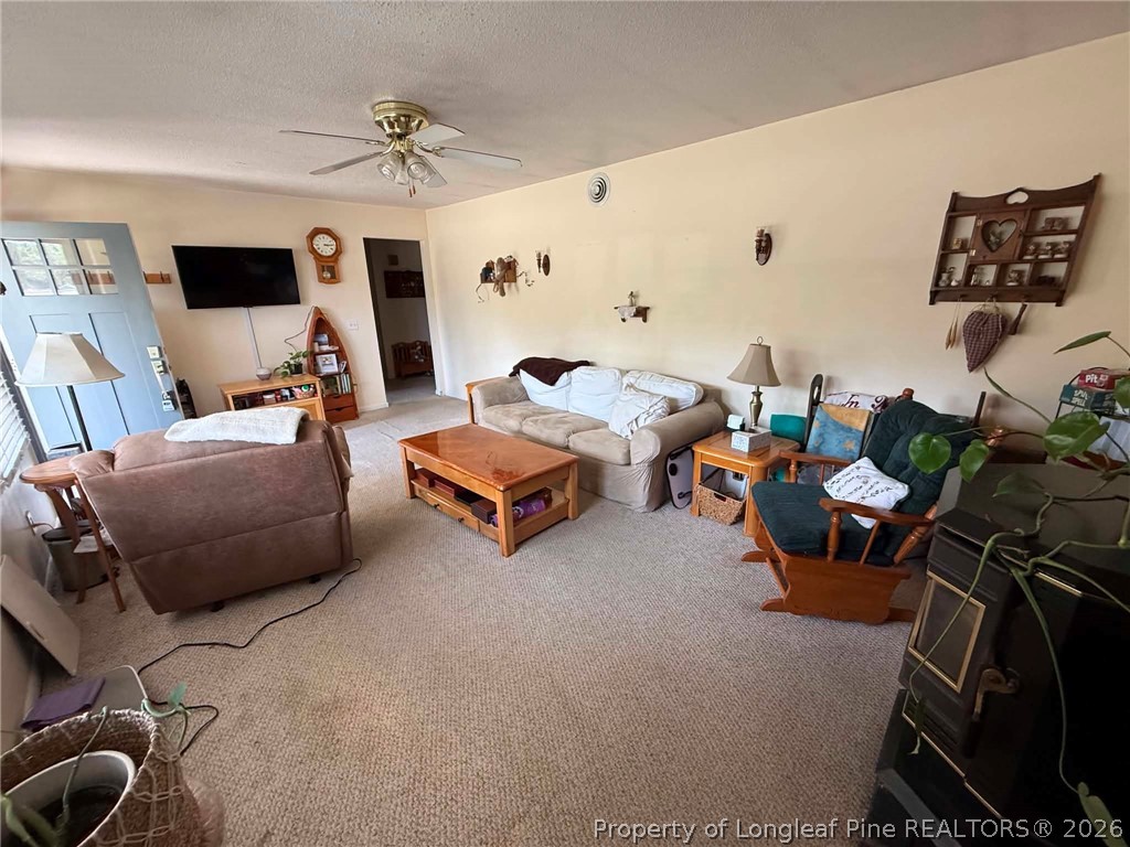 487 Wright Road Vass, NC 28394 - Photo 4 of 26
